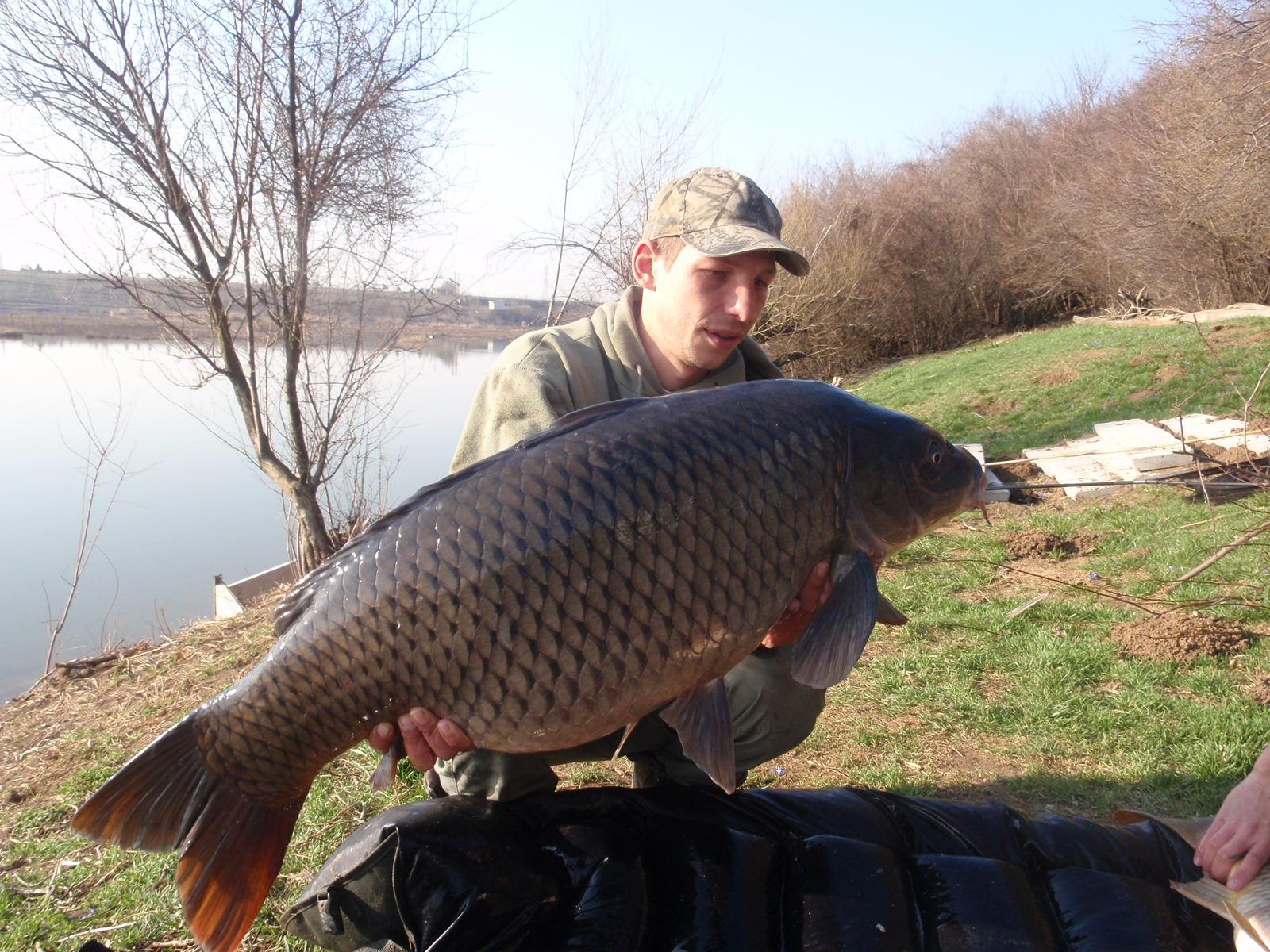 Foto dulapi - p3260314.JPG